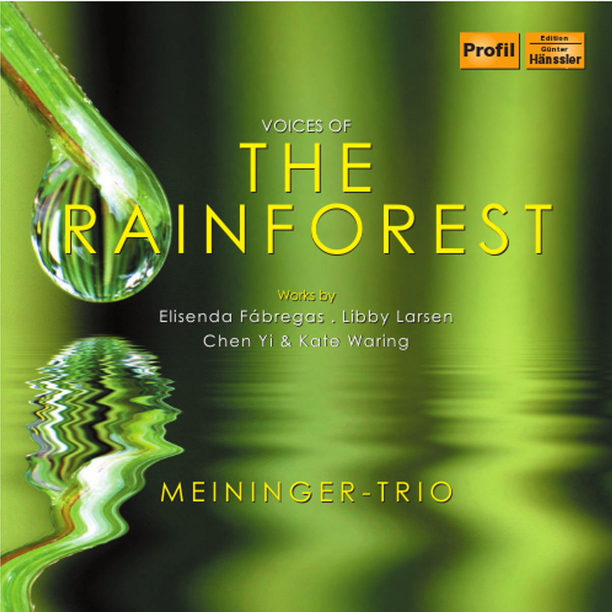 Voices of the Rainforest