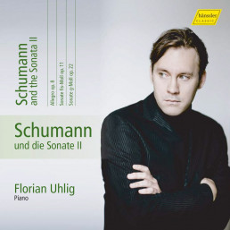 Schumann und die Sonate II