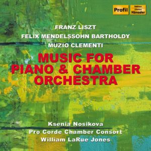 Musik Für Klavier Und Kammerorchester