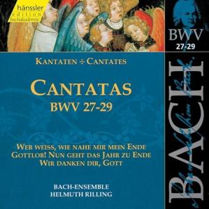 Kantaten BWV 27-29